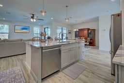 Sanddollar - Image 5