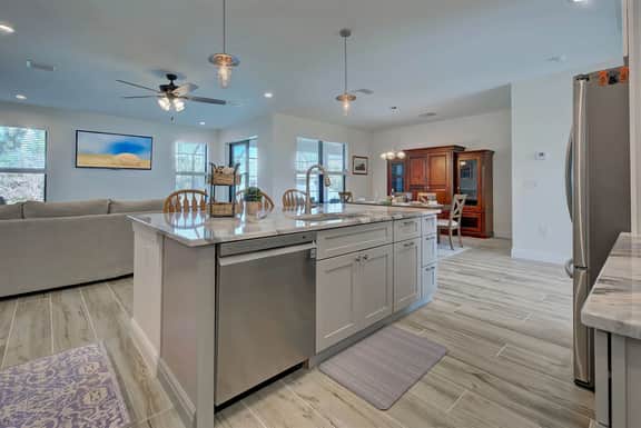 Sanddollar - Image 5
